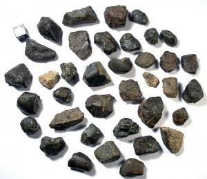 NWA Chondrite Meteorites